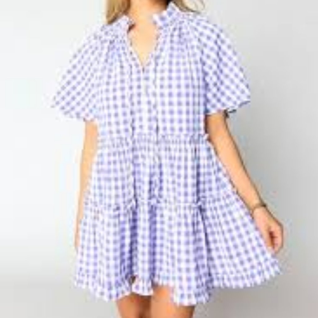 Buddy Love Lakin Swing Mini Dress  Violet Check